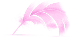 Feder vom Flamingo