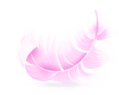 Feder vom Flamingo